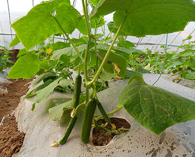 k8.com(�й���)�ٷ���վ