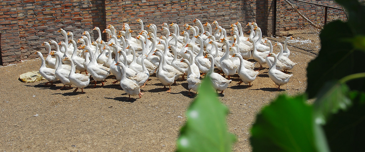 �ӱ�k8.com���ز������������޹�˾