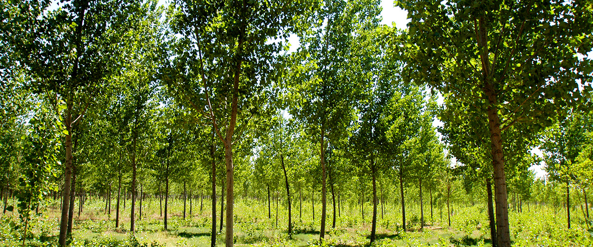 �ӱ�k8.com���ز������������޹�˾