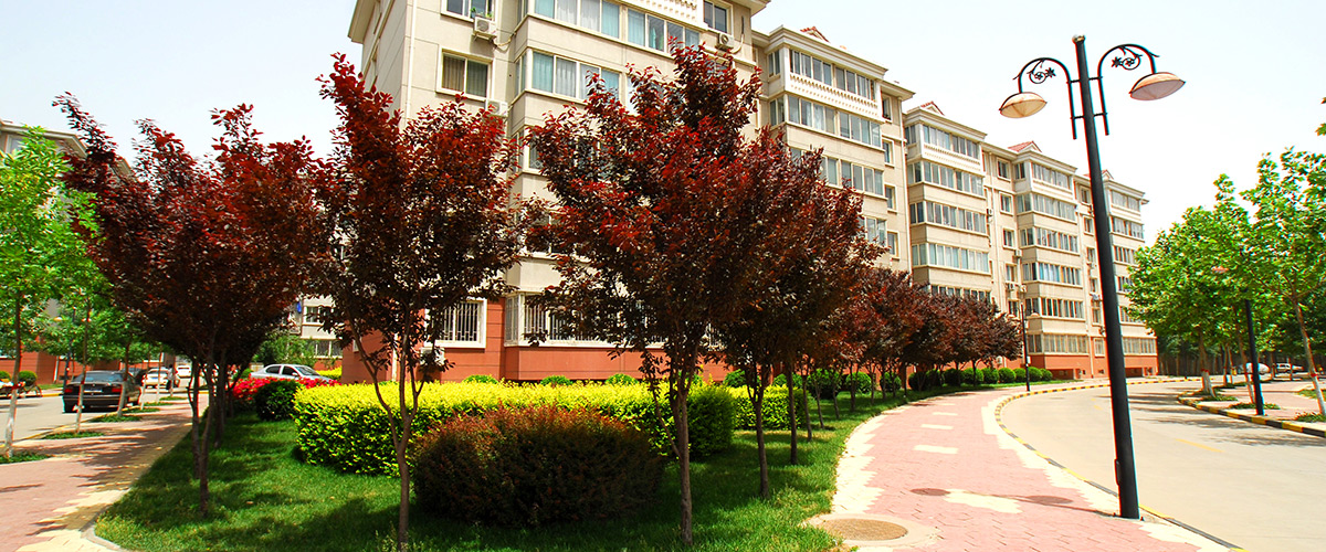 河北k8.com房地产开发集团有限公司