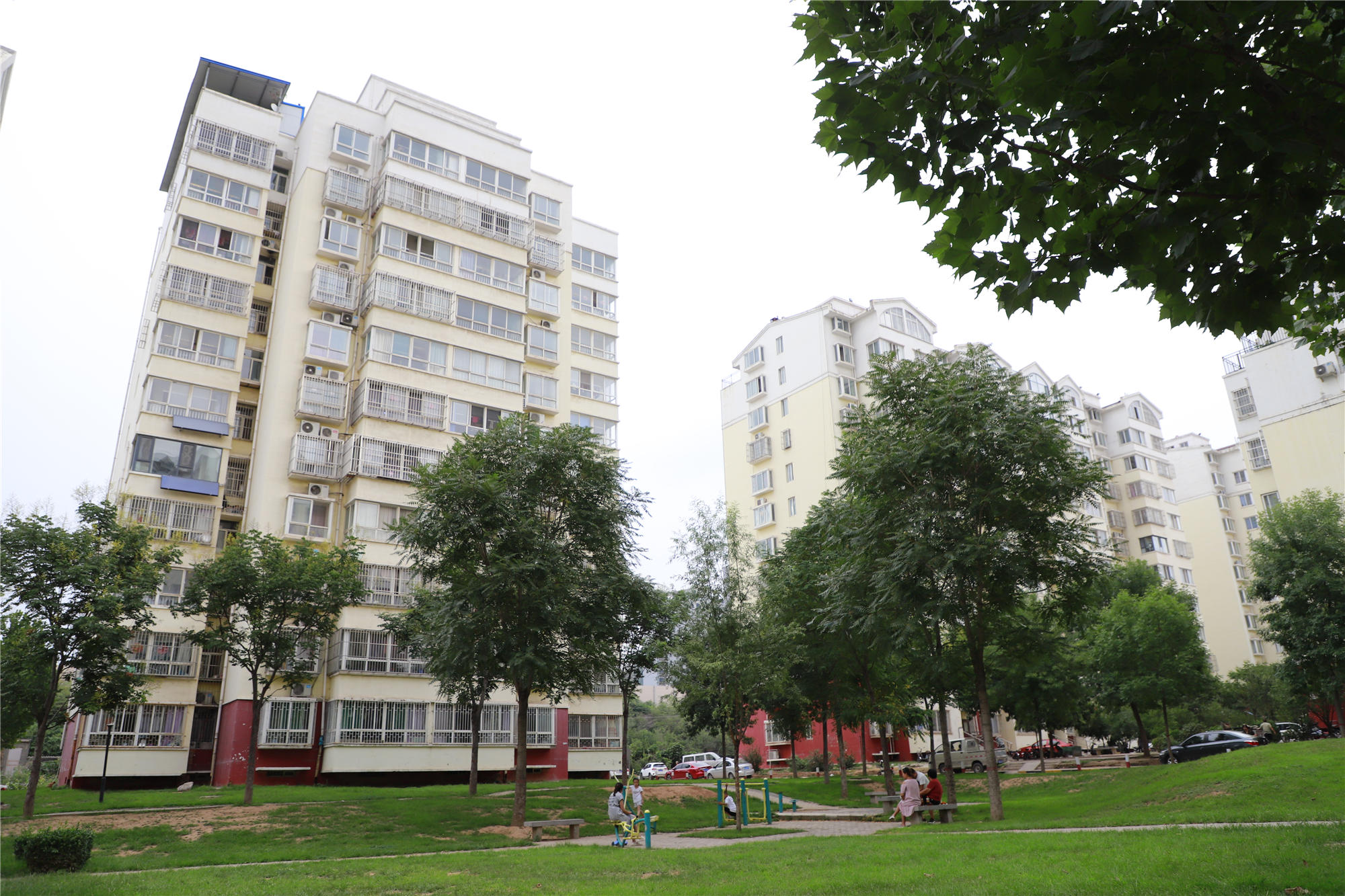 ������ɽ�쾮